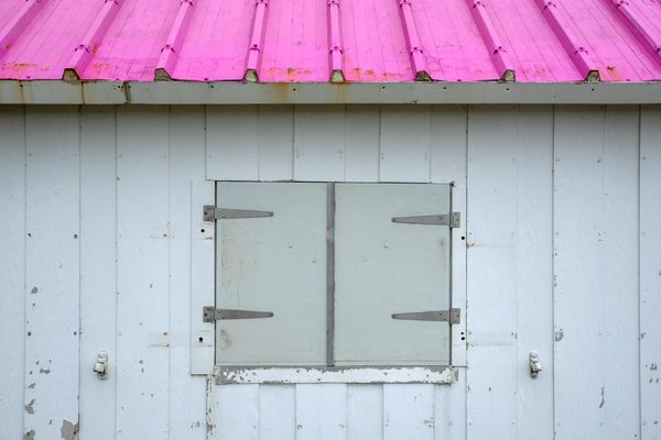 Comment organiser une expédition pour observer les ours bruns en Finlande : équipements et périodes idéales ?